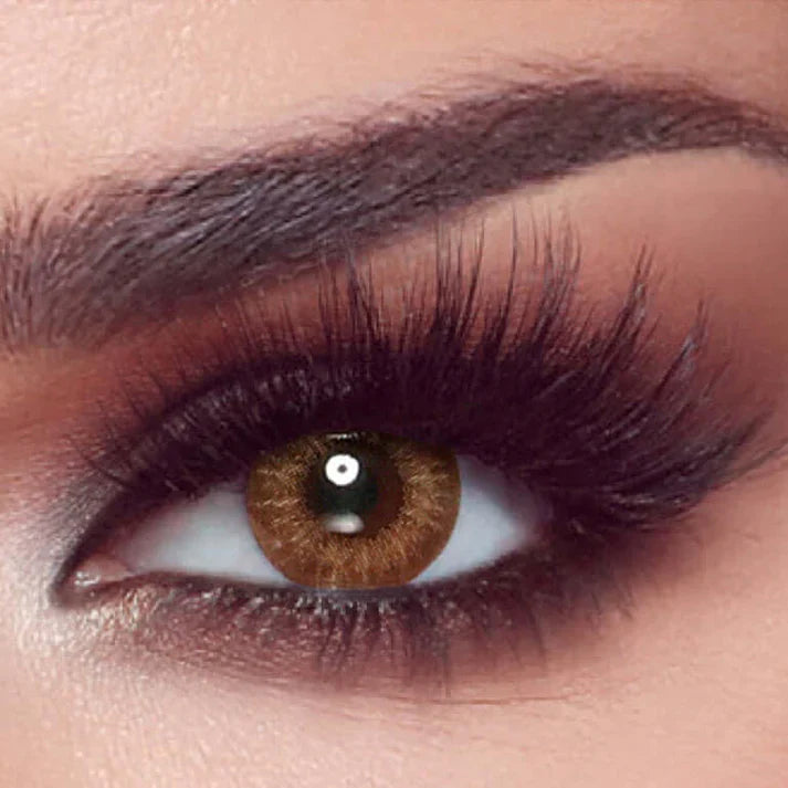Bella One Day — Almond Brown